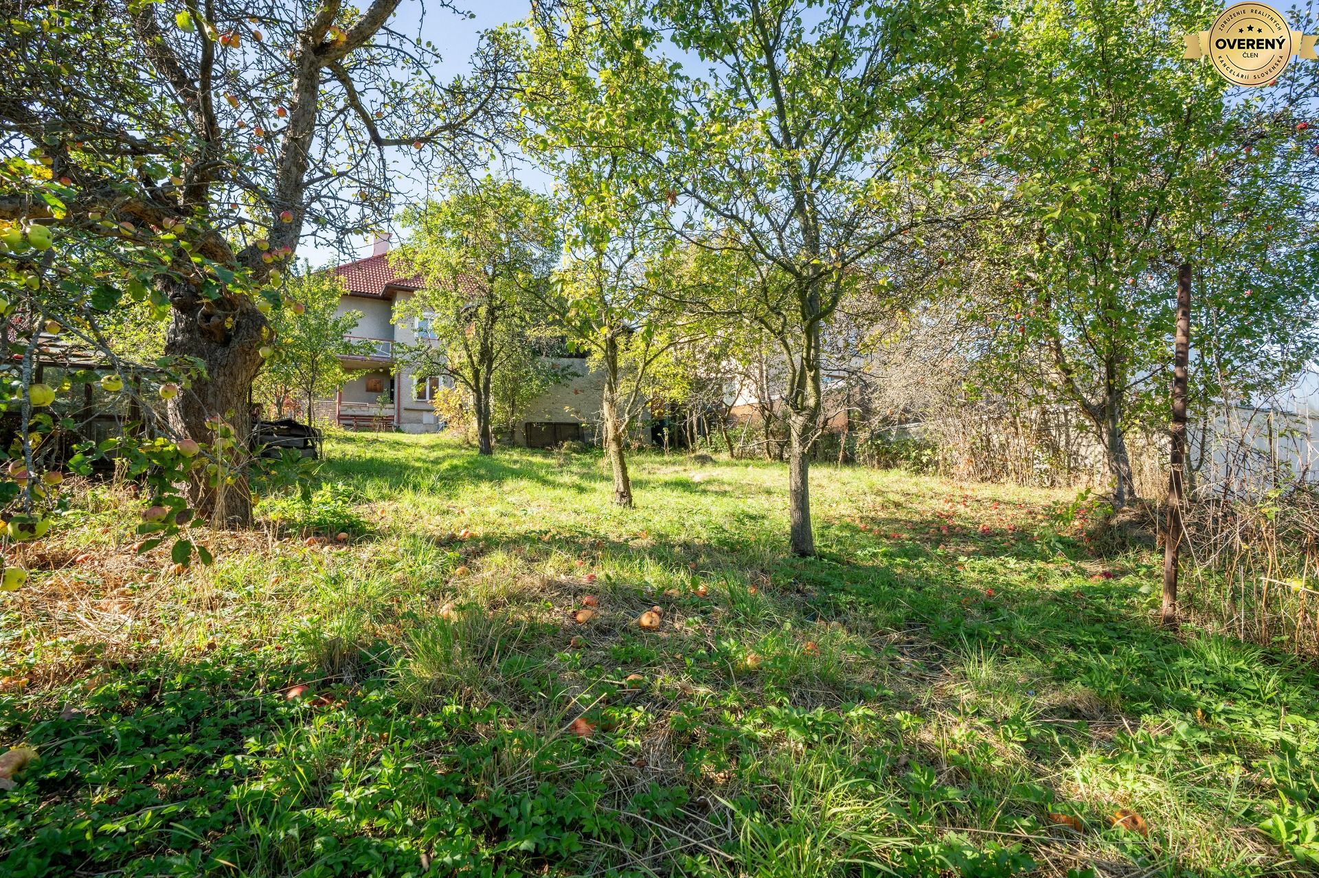 JUR06937.jpg